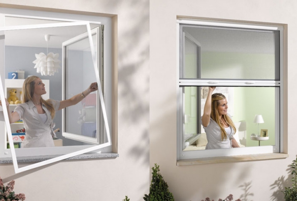 Insektenschutz-Fenster